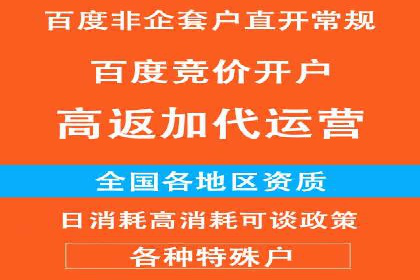 某公司通过百度竞价实现业务快速增长的案例